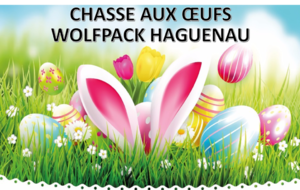GRANDE CHASSE AUX OEUFS DU WOLFPACK